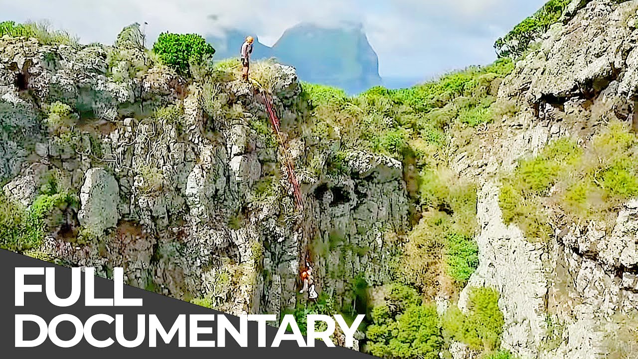 Amazing Quest: Stories from East Coast Australia | Somewhere on Earth: Australia