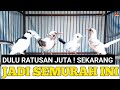 MAKIN REMUK MURAI BATU PANDA DULU RATUSAN JUTA SEKARANG SEMURAH INI