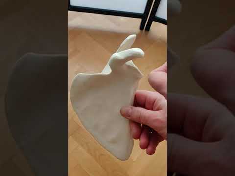 Überblick Scapula - Knochenpunkte erklärt