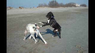 Est ce que tu me suis ?