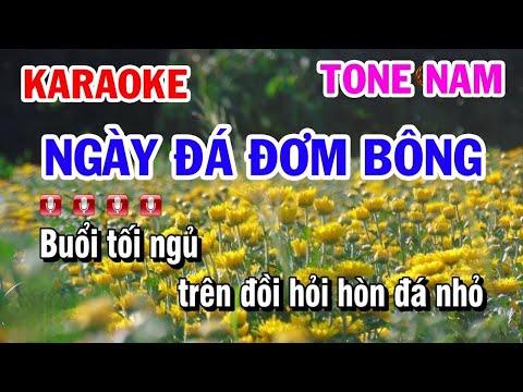 Karaoke Ngày Đá Đơm Bông || Nhạc Sống Cha Cha Tone Nam || Karaoke Cuộc sống lưng chừng đèo