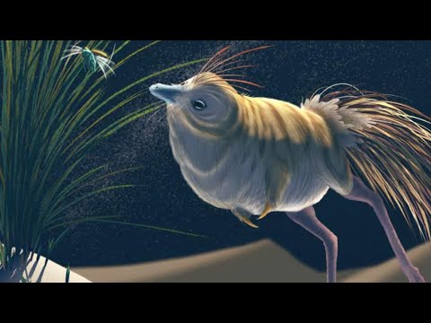 Alvarezsaurs: Tiny Dinosaur Egg Thieves?