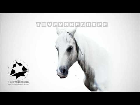 FSR - TOYZMAKENOIZE - INTERGALACTIC HORSEMANS RIDE