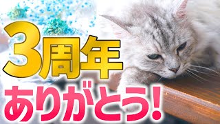 【ご挨拶】3周年ありがとうございます！皆さんのおかげです【女性実況】
