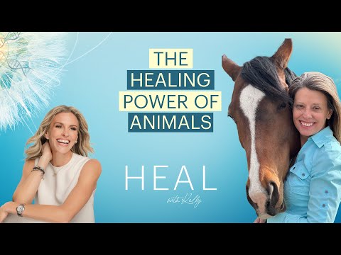 Equine Therapy and Animal Communication - Kate Neligan - YouTube