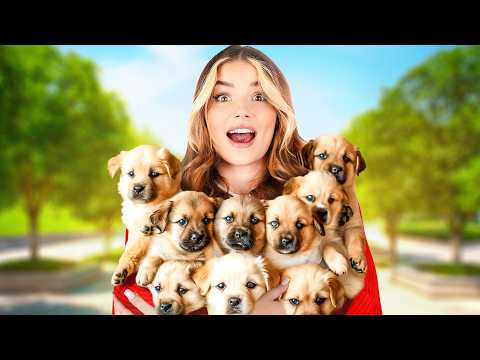 WYPROWADZAM PSY OBCYM LUDZIOM!