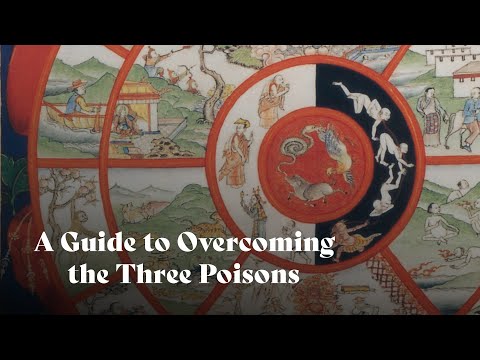 A Guide to Overcoming the Three Poisons | Geshe Namdak