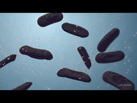 International Dioxcide - ERCOPure™: ClO2 Chemistry – The Full Story