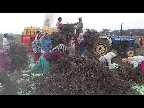 Elevator model paddy crop thresher