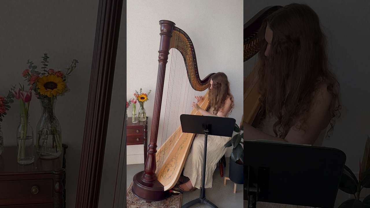 Promotional video thumbnail 2 for Lynden’s Harp Music