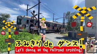 踏切動画 【踏切ダンス】電鈴チンチンのリズムがずれていくよのダンス！《縦動画＃14 》[Let's dance to the rhythm of the railroad crossing]