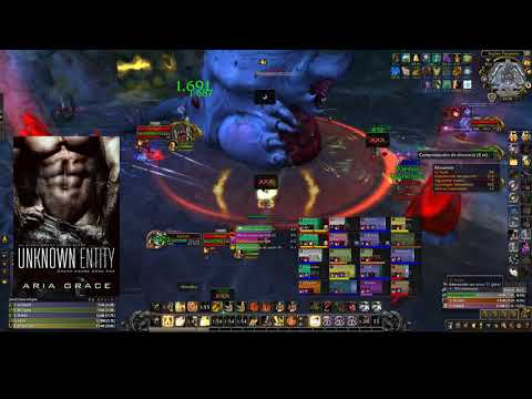 Unknown Entity vs Mythic G`huun (holy paladin pov)