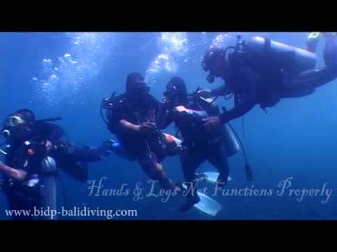 download lagu mp3 mp4 Bidp, download mp3 Bidp free download, download mp3 Bidp