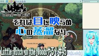 【実況】Little Witch in the Woodsやる！【45】