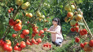 Tomatoes and sauerkraut