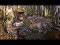 Alligators In Florida Are Growing OUT Of Control