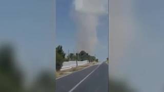 Sembra il deserto ma è la Puglia. Il «Diavolo di sabbia» arriva nel Foggiano
