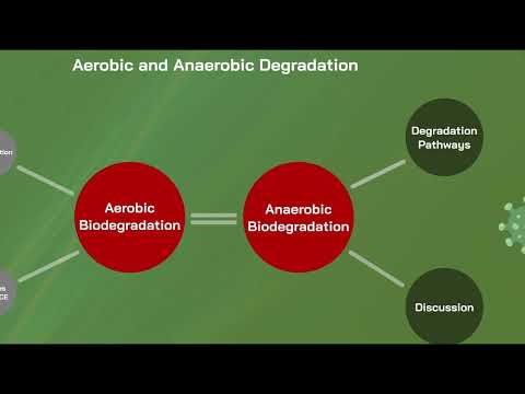 EVSC 702 - 1,1 DCE Video Final