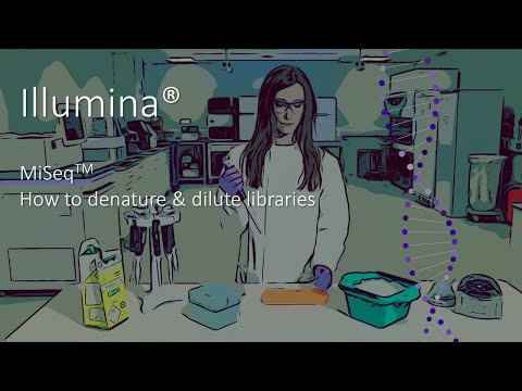 Illumina MiSeq: Denature and Dilute Libraries