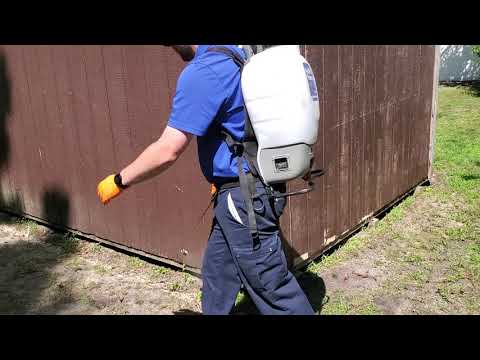 Carpenter Ants and Pavement Ants Infest Home in Silverton, NJ