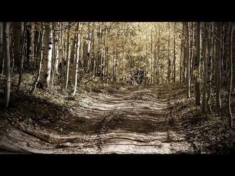 Aleksandar Aca Trandafilović - Pod onom gorom zelenom