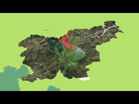 Slovenian State Forests - SiDG