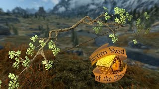 Skyrim Mod of the day: Nature Bow SSE