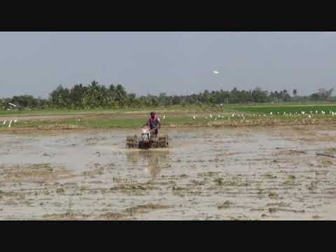 Petrol 12 HP Agriculture Power Tiller, Trailer