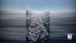 Passenger falls overboard Norwegian cruise ship