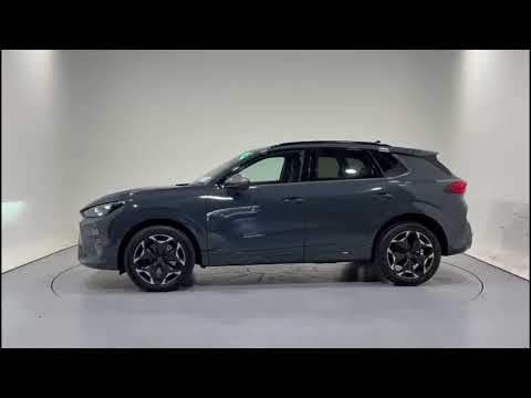 Cupra Terramar VZ 2.0 TSI 265HP DSG 4 - Image 2