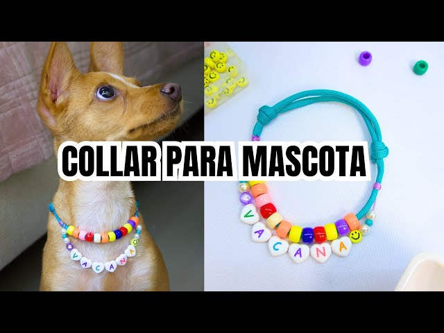 Vídeo relacionado con Ibera gifts - Collar Perro Personalizado con Nombre para Mascotas Pequeñas, Reflectante, Ajustable De 25 a 40 cm, Grabado Láser, Seguro y Cómodo (Rosa, S pequeño)