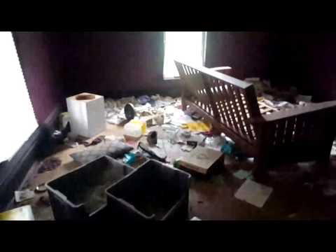 Justin Stokes's live broadcast