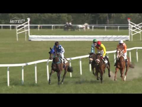 MI, 3. 6. 2017, 9. dostih - Cena společnosti OMA CZ a.s.