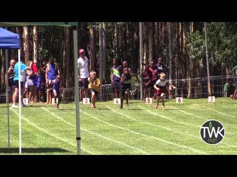 Wittenberg Interlaer 2015 - Naellope # 2