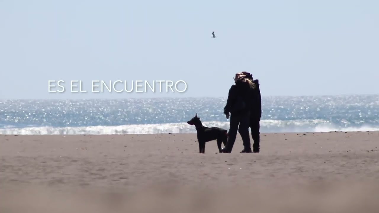 Daniel Ángel Galaz San Martín-6