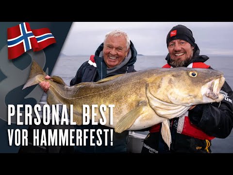 20-kilo cod off Hammerfest! With Horst and Hauke ​​up north! 🇳🇴