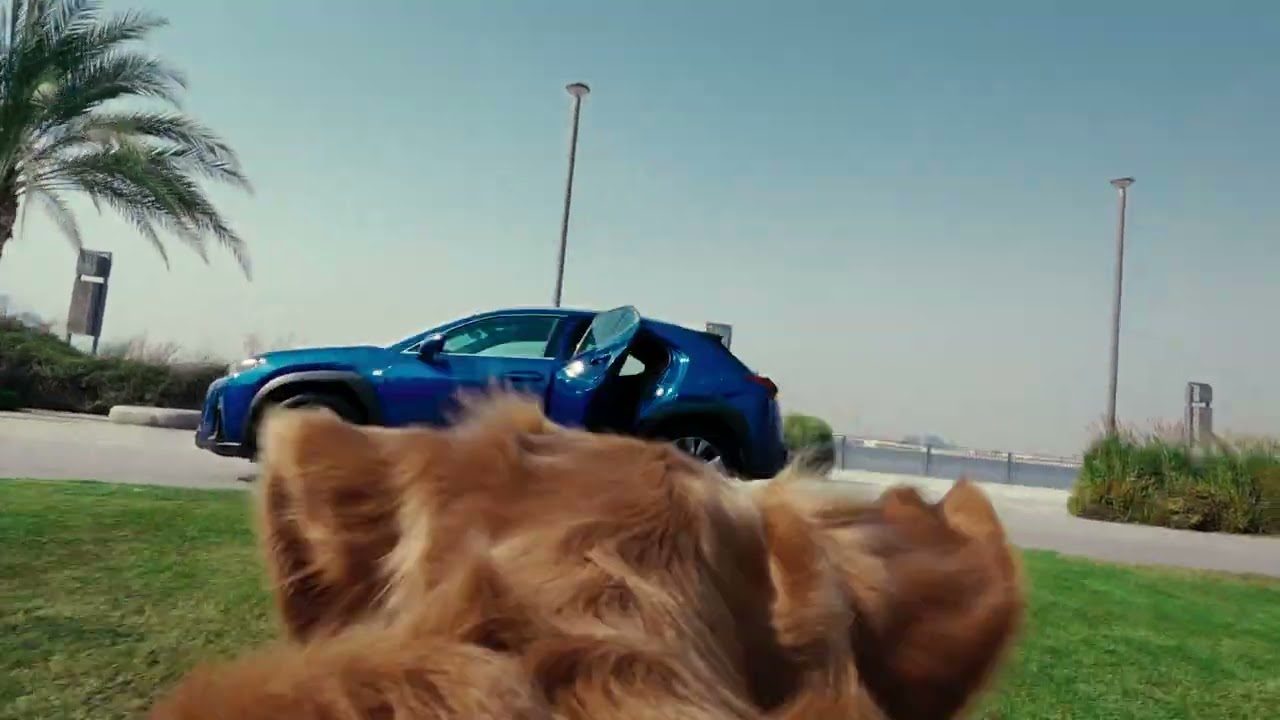 Set the Pace with the Lexus UX Hybrid.