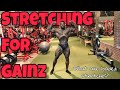 Loaded stretching
