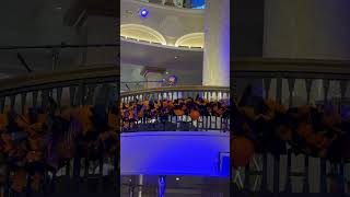 J&D on the sea,#purplerain #travel #cruiseliners #entertainment