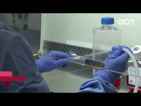 Avenç mèdic contra la diabetis i l'obesitat