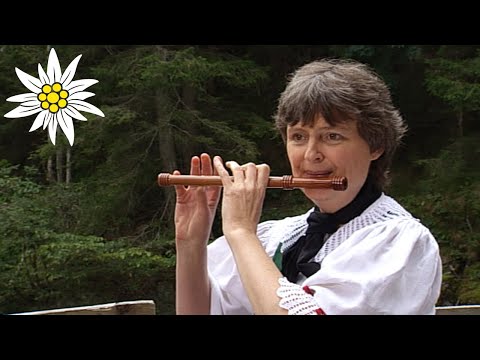 Sterzinger Schwegelmarsch | Bichl Musi