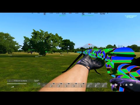 SHINNERS13 (NoP's BloodBath) #dayz #killmontage #nops