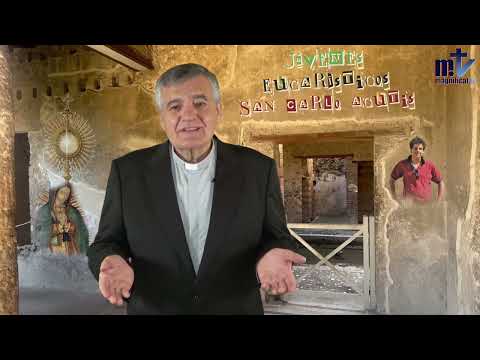 4. Modelo de Caridad de San Carlo Acutis | Grupo Juvenil Franciscanos de María | P Santiago Martín FM