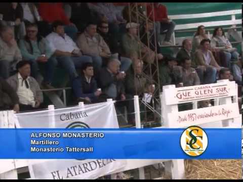 ALFONSO MONASTERIO - Cabaña: Gue Glen Sur - Monasterio Tattersall - Huanguelén - 06/09/2013