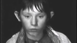 And Also The Trees - Midnight Garden (video)