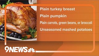 Pet safety tips for Thanksgiving