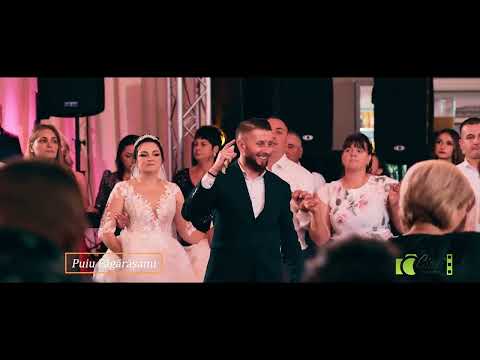 Puiu Fagarasanu,super colaj de petrecere si voie buna live 2024