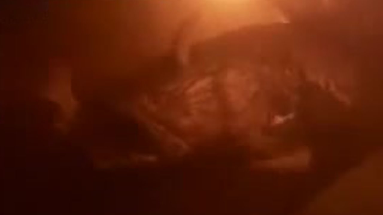 Nearly Blind Vampire Fish (Candiru Asu) Having a Meal | BBC Studios