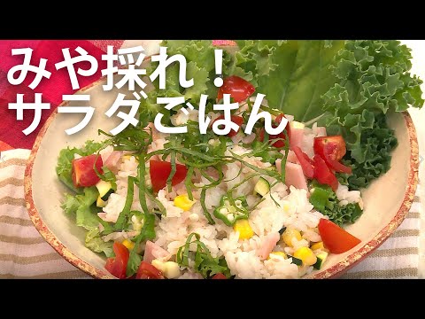 みや採れ！サラダごはん