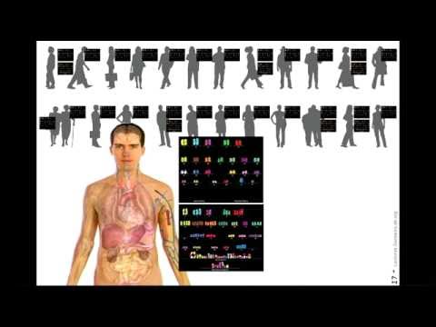 Genomics, Big Data, and Medicine Seminar Series – Mark Gerstein